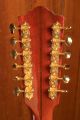 Guild F-512E Antique Sunburst