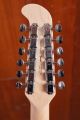 FSR Jazzmaster XII Sherwood Green