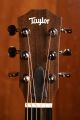 Taylor GS Mini-e Special Edition, Sunset Fade