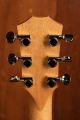 Taylor GS Mini-e Special Edition, Victorian Burst