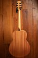 Taylor GS Mini-e Special Edition, Victorian Burst