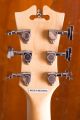 D'Angelico Premier Brighton, Solid Body, Black
