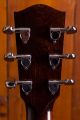 Eastman AC222CE-OV