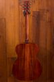 Eastman E10 OM