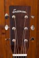 Eastman E10 OM