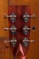 Eastman E10 OM