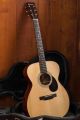 Eastman E10 OM