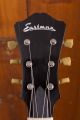 Eastman T64/v Antique Goldburst
