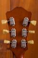 Eastman T64/v Antique Goldburst