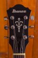 Ibanez AF55-TF