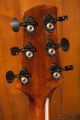 Eastman PG1