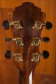 Eastman AR680CE