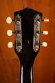 Kay Archtop w/DeArmond pickup (1960)