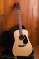 Martin D-21 Limited Edition