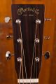 Martin D-21 Limited Edition