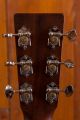 Martin D-21 Limited Edition