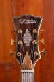 Dâ€™Angelico Excel EXL-1 Throwback Pau Ferro Fingerboard Vintage Natural
