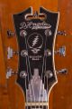 D'Angelico Premier Series DC Grateful Dead Model