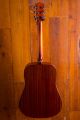 Eastman PCH1-D