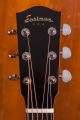 Eastman PCH1-D