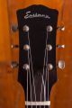Eastman SB55/v, Antique Varnish