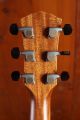 Taylor Gold Label 814e Koa Sunburst