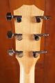 Taylor 210ce Torrefied Spruce Top