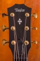 Taylor 324ce Builder's Edition