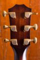 Taylor 324ce Builder's Edition