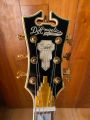 D'Angelico Excel SS, Iced Tea Burst