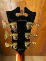 D'Angelico Excel SS, Iced Tea Burst