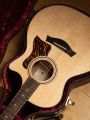 Taylor 354ce 12-String