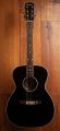 Eastman PCH2-OM Black 