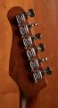 Godin Stadium '59 Desert Green