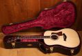 Taylor Legacy 810e