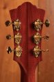 Guild D-55E Antique Burst