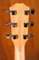 Taylor Academy 10e Dreadnought