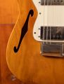 Fender Thinline Deluxe Telecaster (1974)