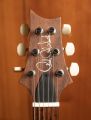 PRS Paul's Guitar Purple Mist
