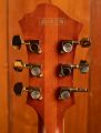Ibanez PM3C Natural Amber Low Gloss