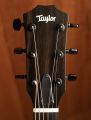 Taylor 214ce Special Edition Transparent Grey