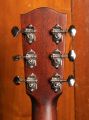 Eastman E6 LGSS Thermo-Cure Sunburst