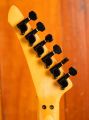 Fender HM Telecaster Thinline Black Japan