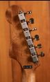 Fender Newporter Special Honey Burst