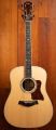 Taylor Legacy 810e