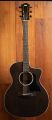 Taylor 214ce Special Edition Transparent Grey