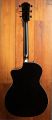 Taylor 214ce Special Edition Transparent Blue