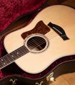 Taylor Legacy 810e
