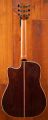 Lakewood D-53 Custom with Cutaway