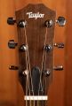 Taylor Academy 10e LTD Koa/Spruce